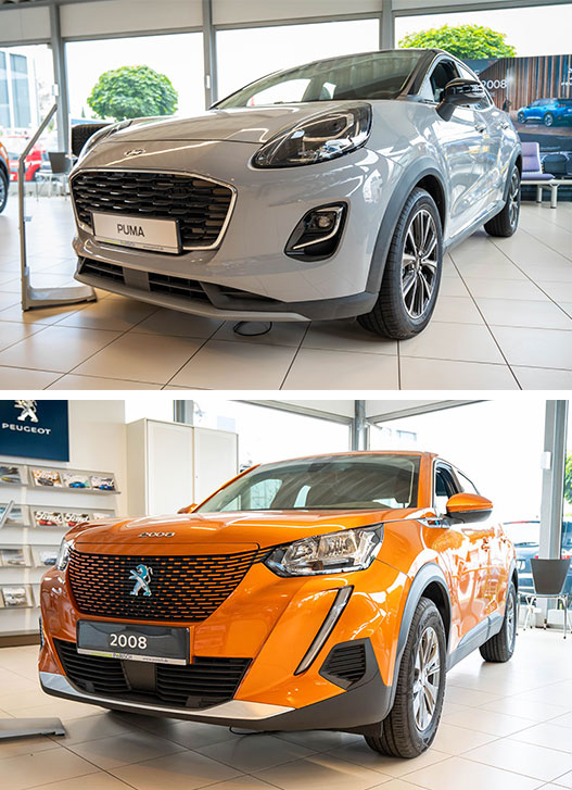 Markenservice Peugeot & Ford